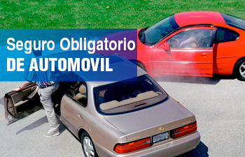 Seguro Obligatorio de Automóvil (SOA)